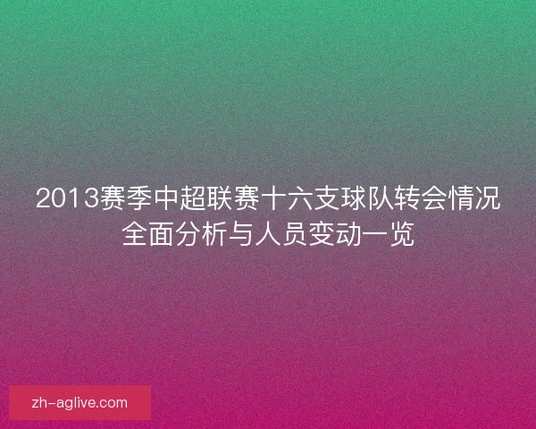 2013赛季中超联赛十六支球队转会情况全面分析与人员变动一览