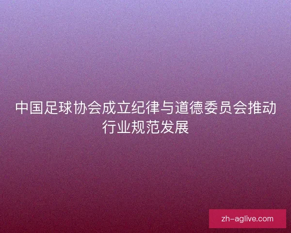 中国足球协会成立纪律与道德委员会推动行业规范发展