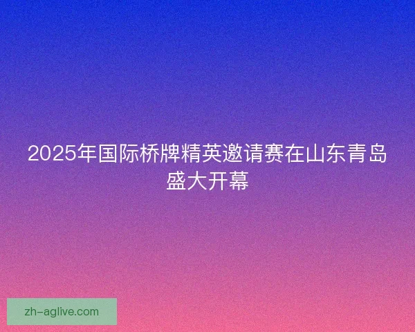 2025年国际桥牌精英邀请赛在山东青岛盛大开幕